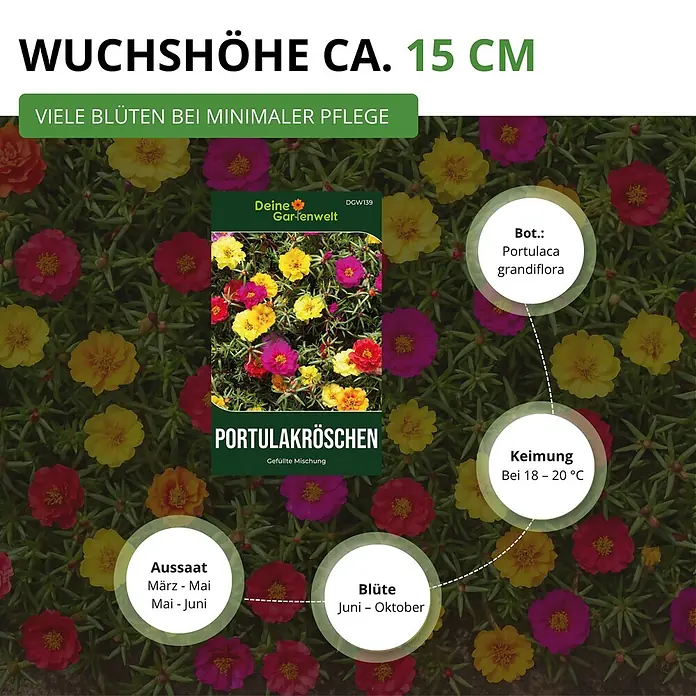 Deine Gartenwelt Portulakröschen Gefüllte Mischung -  - Samentüte 'Portulakröschen' mit bunten gelben, rosa, roten Portulakblüten und detaillierten Anbauanweisungen.
