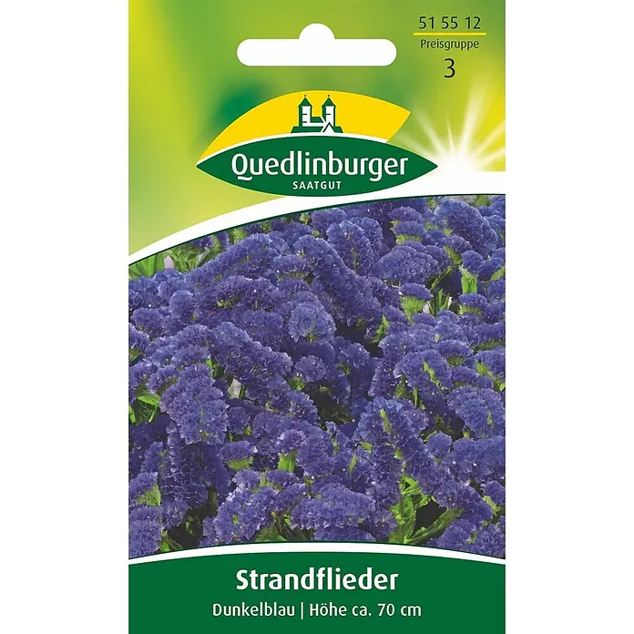 Quedlinburger SAATGUT Strandflieder Dunkelblau -  - Quedlinburger SAATGUT Samenpackung für dunkelblauen Strandflieder, Wuchshöhe ca. 70 cm.