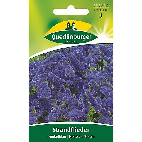 Quedlinburger SAATGUT Strandflieder Dunkelblau