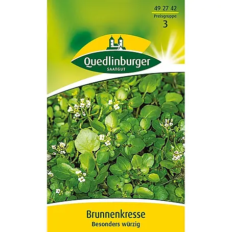 Quedlinburger SAATGUT  Kräutersamen Brunnenkresse