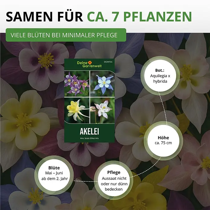 Deine Gartenwelt Akelei Mrs. Scott Elliot Mix -  - Samenpackung für Akelei 'Mrs. Scott Elliot Mix', zeigt verschiedene Blütenfarben, mit Details zu Anbau von ca. 7 Pflanzen, Höhe und minimaler Pflege.