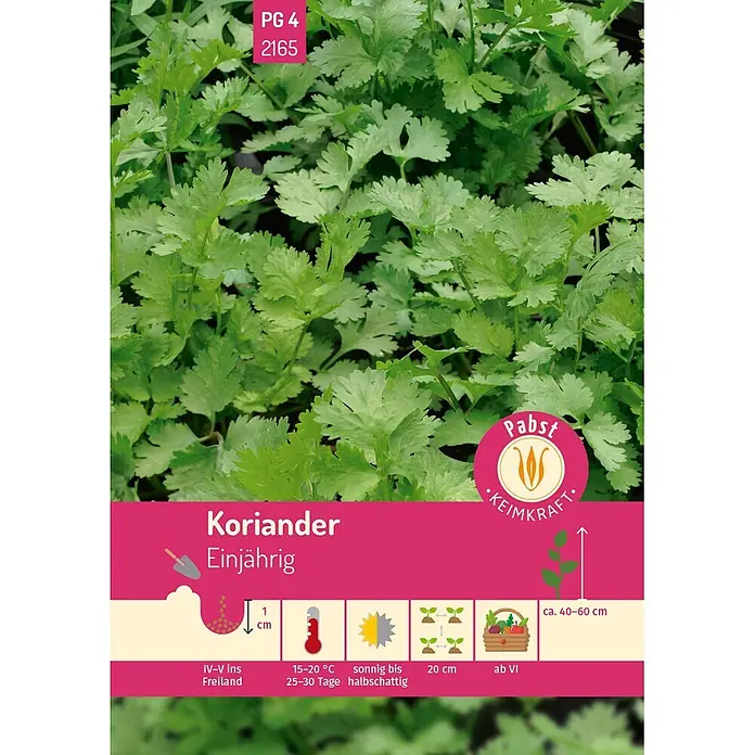 Pabst Keimkraft Kräutersamen Koriander - Coriandrum sativum L., Saatzeit: April, Erntezeit: Juni - Koriandersamen-Päckchen mit grünen Pflanzen und visuellen Pflanzanleitungen, einschließlich Tiefe, Abstand, Sonnenlicht und Erntezeit.