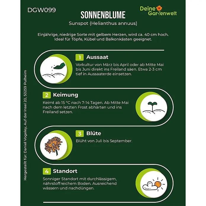 Deine Gartenwelt Zwergsonnenblume Sunspot -  - Infokarte Sonnenblume 'Sunspot' mit Pflanzanleitung in 4 Schritten: Aussaat, Keimung, Blüte, Standort.