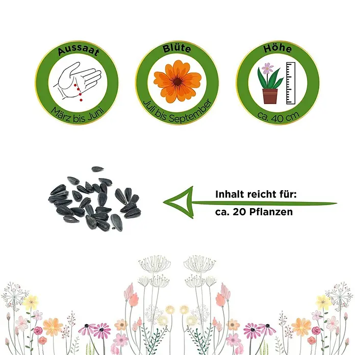 Deine Gartenwelt Zwergsonnenblume Sunspot -  - Sonnenblumenkerne und Pflanzinformationen: Aussaat März-Juni, Blüte Juli-September, Höhe 40 cm, ergibt ca. 20 Pflanzen.