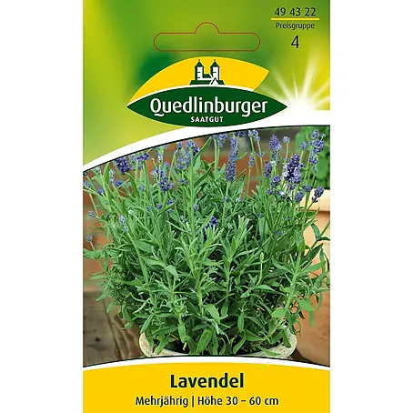 Quedlinburger SAATGUT  Kräutersamen Lavendel