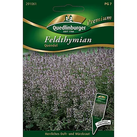 Quedlinburger SAATGUT  Kräutersamen Thymian