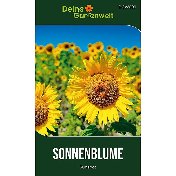 Deine Gartenwelt Zwergsonnenblume Sunspot -  - Samenbäckchen für 'Sonnenblume Sunspot' mit einem Bild leuchtend gelber Sonnenblumen auf dunkelgrüner Verpackung.