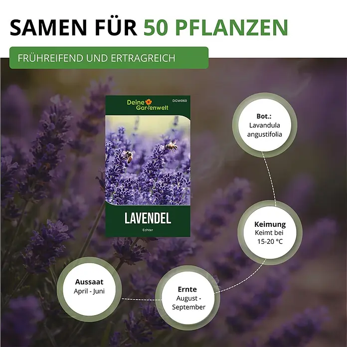 Deine Gartenwelt Lavendel Echter -  - Samenpackung für 50 frühreifende, ertragreiche Lavendelpflanzen mit Anbauinformationen.