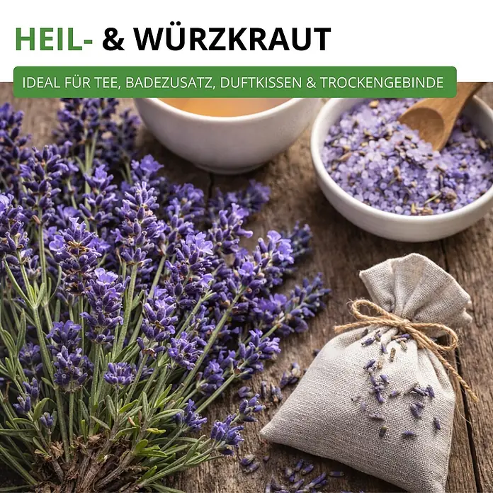 Deine Gartenwelt Lavendel Echter -  - Getrocknete Lavendelblüten mit Badesalz, Tee und einem Säckchen, zur Verwendung in Aromatherapie und Aufgüssen.