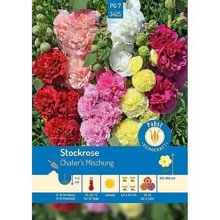 Pabst Keimkraft  Blumensamen Stockrose