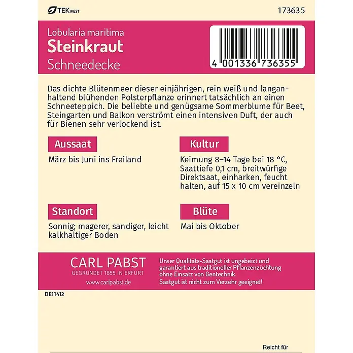 Pabst Keimkraft Blumensamen Steinkraut - Lobularia maritima (L.) Desv., Weiß - Samenpäckchen für Lobularia maritima 'Steinkraut Schneedecke' mit rosa/beigem Design, Text und Barcode.