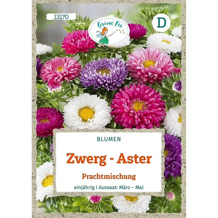 Grüne Fee Zwerg-Aster Prachtmischung -  - Samenpäckchen für Zwerg-Aster „Prachtmischung“ mit leuchtend rosa, violetten und weißen Asterblüten. Marke „Grüne Fee“ und Produktdetails sichtbar.