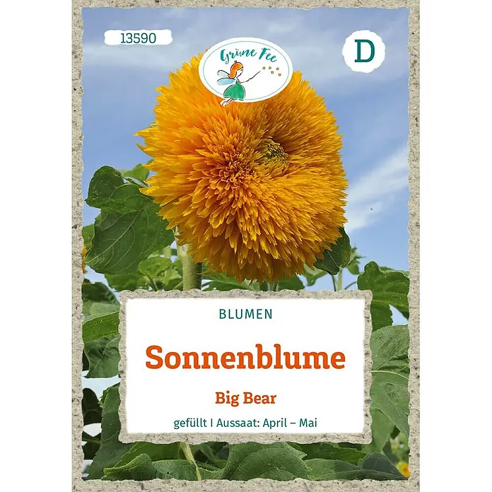 Grüne Fee Sonnenblume Big Bear -  - Saatgutpackung für 'Big Bear' Sonnenblume, mit flauschiger orange-gelber Blüte und 'Grüne Fee' Marke.