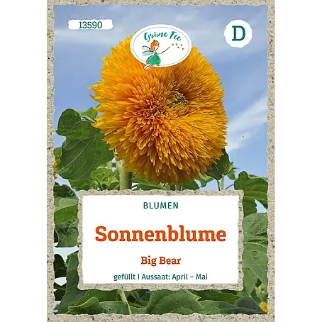 Grüne Fee Sonnenblume Big Bear