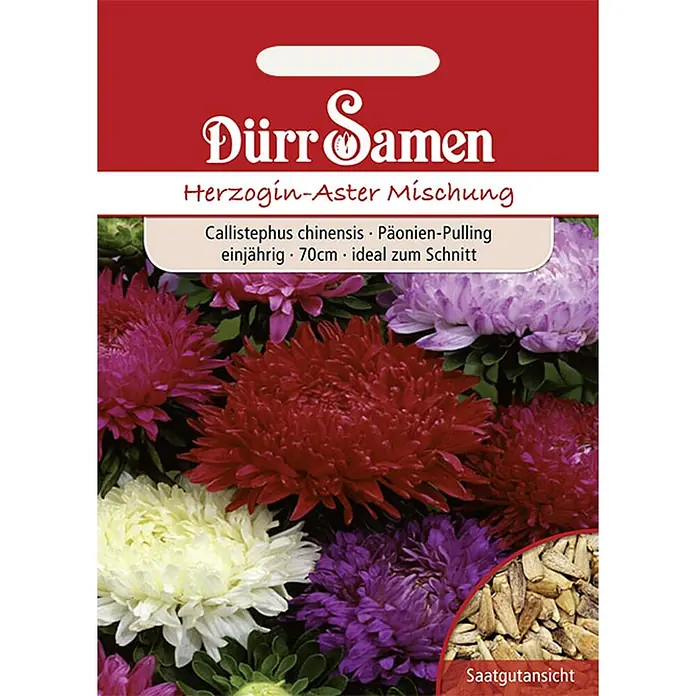 Dürr Samen Herzogin-Aster Prachtmischung einjährig 70 cm -  - Dürr Samen Samentüte für Herzogen-Aster Mischung, mit leuchtenden roten, weißen und violetten Asternblüten und einer Samenansicht.