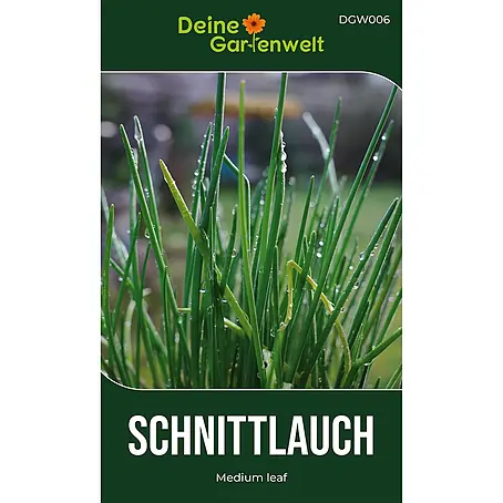 Deine Gartenwelt Schnittlauch Medium Leaf