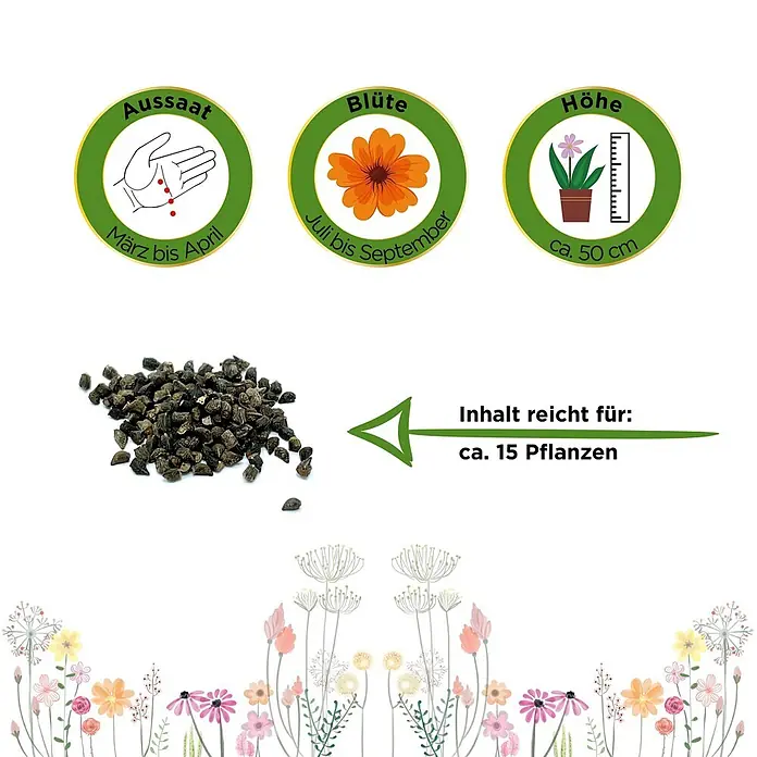 Deine Gartenwelt Natternkopf blau -  - Pflanzanleitung für Samen: Aussaat März-April, Blüte Juli-September, Höhe ca. 50 cm. Inhalt reicht für ca. 15 Pflanzen.