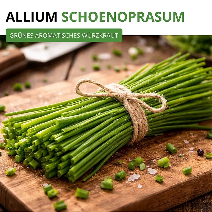 Deine Gartenwelt Schnittlauch Medium Leaf -  - Frischer Bund grüner Schnittlauch mit Bindfaden auf einem Holzschneidebrett, mit gehackten Stücken und Gewürzen.