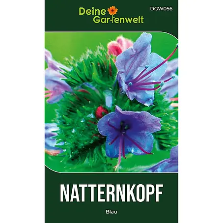 Deine Gartenwelt Natternkopf blau