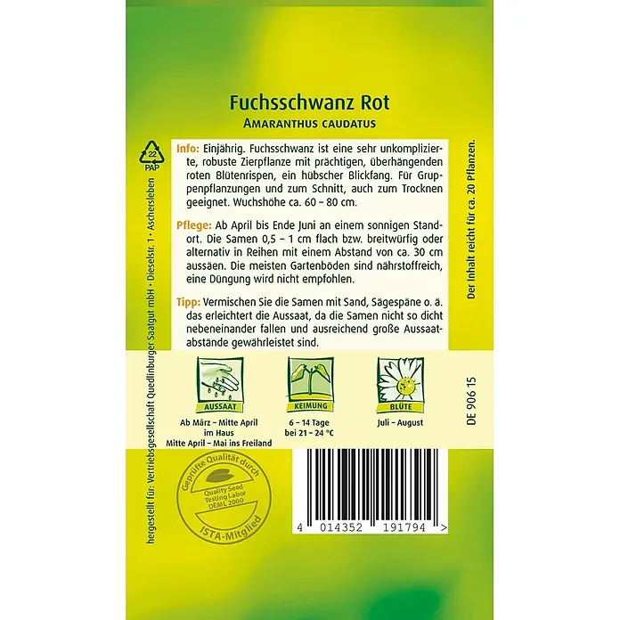 Quedlinburger SAATGUT Blumensamen Fuchsschwanz - Amaranthus caudatus, Rot - Grün-gelbe Samentüte für Fuchsschwanz Rot (Amaranthus caudatus) Samen mit detaillierten Pflanzanleitungen, Zertifizierungen und Barcode.