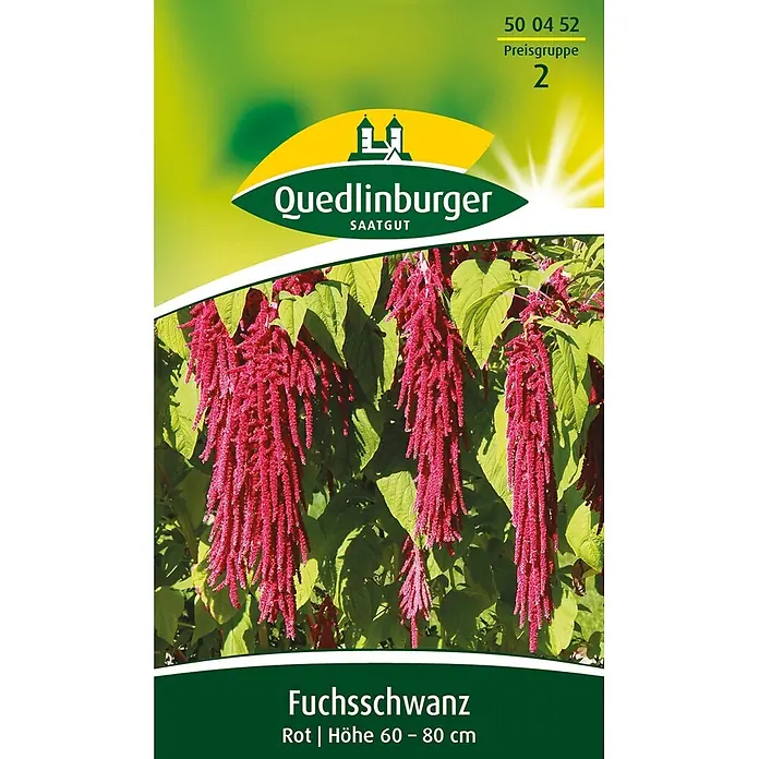 Quedlinburger SAATGUT Blumensamen Fuchsschwanz - Amaranthus caudatus, Rot - Samenpackung für roten Fuchsschwanz (Amaranth), zeigt die Pflanze mit leuchtend roten, herabhängenden Blüten.