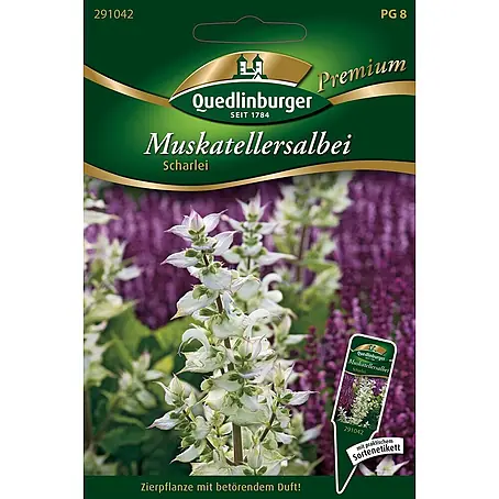 Quedlinburger SAATGUT Muskateller-Salbei Scharlei