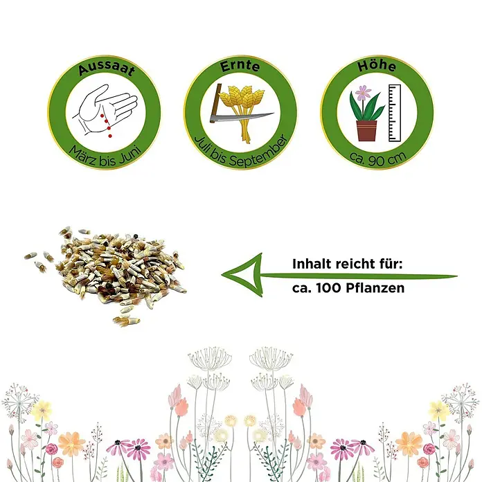 Deine Gartenwelt Kornblumen Gefüllte Mischung -  - Samenpackung mit Angaben zu Aussaat, Ernte, Höhe (90cm) und Ertrag (100 Pflanzen).