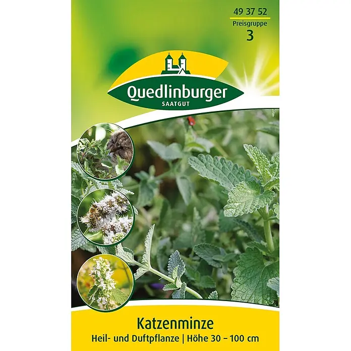 Quedlinburger SAATGUT Katzenminze -  - Quedlinburger Katzenminze mit flauschigen Blättern, weißen Blüten und Detailbildern von Katze, Bienen und Blütenständen.