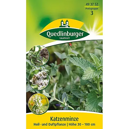 Quedlinburger SAATGUT Katzenminze