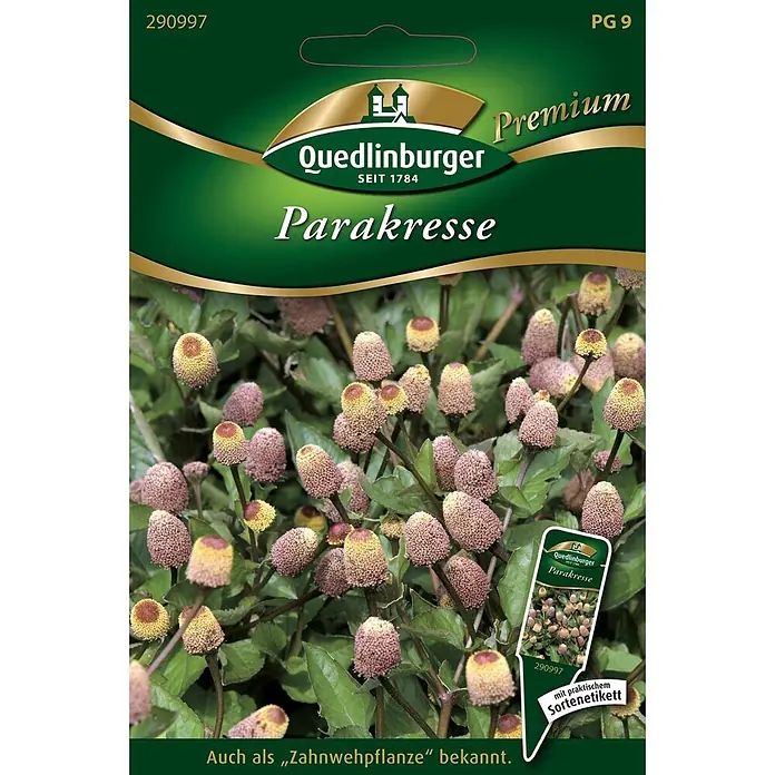 Quedlinburger SAATGUT Kräutersamen Parakresse - Acmella oleracea, Saatzeit: März, Erntezeit: Sortenabhängig - Quedlinburger Premium Parakresse Samenpaket mit Pflanzenbild. Auch als „Zahnwehpflanze“ bekannt.