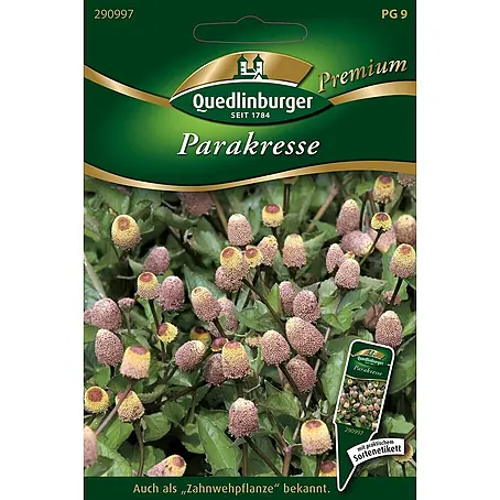 Quedlinburger SAATGUT  Kräutersamen Parakresse