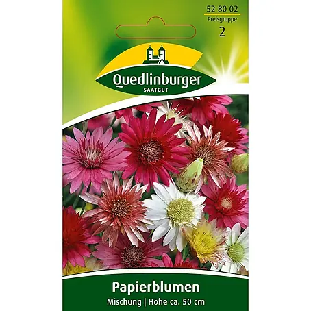 Quedlinburger SAATGUT Papierblume Mischung