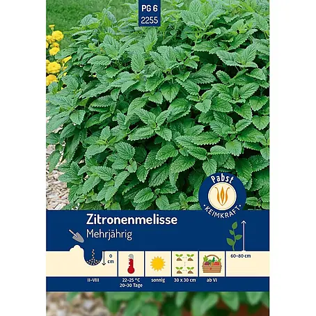 Pabst Keimkraft  Kräutersamen Zitronenmelisse