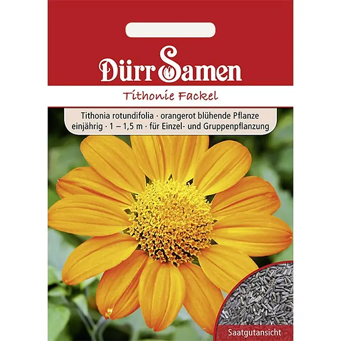 Dürr Samen Blumensamen Tithonie - Tithonia rotundifolia, Orangerot - Samentüte für Tithonie Fackel mit leuchtend orangefarbener Blume und Samenvorschau. Beschreibt die Pflanze als einjährig, 1-1,5m hoch.