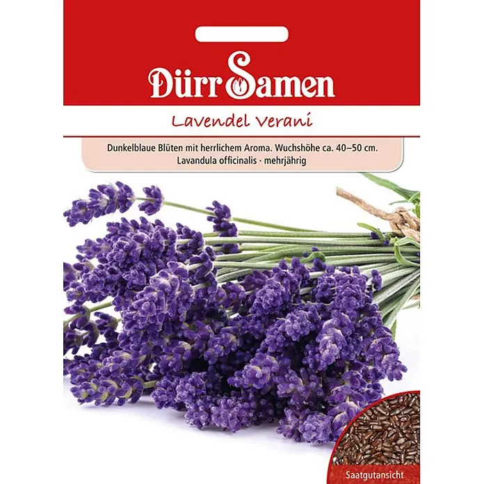 Dürr Samen Kräutersamen Lavendel - Lavandula angustifolia, Saatzeit: März, Erntezeit: August - Dürr Samen Lavendel Verani Saatgutpackung mit blauen Lavendelblüten und Samen.