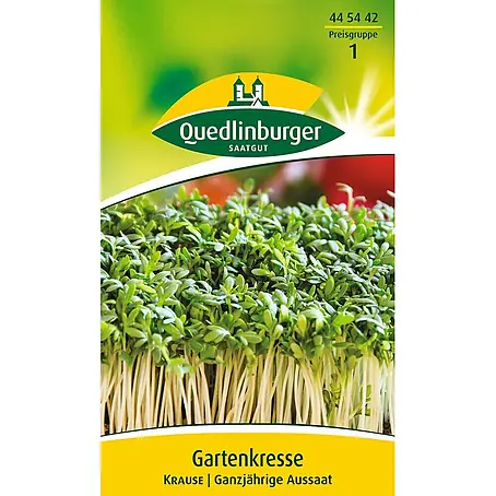 Quedlinburger SAATGUT  Kräutersamen Gartenkresse