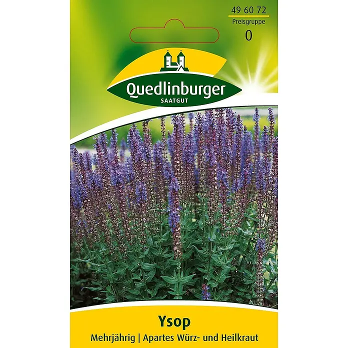 Quedlinburger SAATGUT Ysop -  - Saatguttüte für Ysop (Hyssopus officinalis), Marke Quedlinburger, mit lila blühenden Pflanzen, ein mehrjähriges Würz- und Heilkraut.