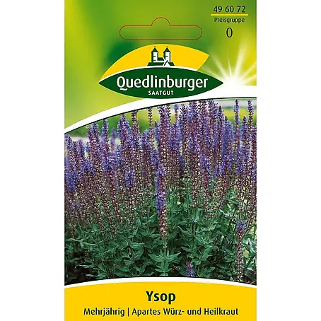 Quedlinburger SAATGUT Ysop