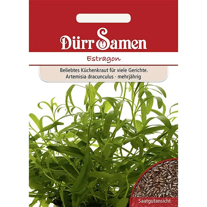 Dürr Samen Kräutersamen Estragon - Artemisia dracunculus, Saatzeit: März, Erntezeit: Juni - Rote und weiße Estragon-Samentüte mit grünen Estragonpflanzen und braunen Samen.