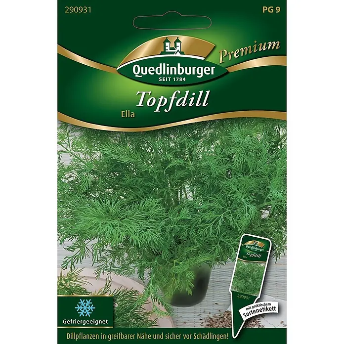 Quedlinburger SAATGUT Kräutersamen Dill - Anethum graveolens var. hortorum, Saatzeit: März, Erntezeit: September - Samenpackung Quedlinburger Premium 'Topfdill Ella' mit einer üppigen grünen Dillpflanze.