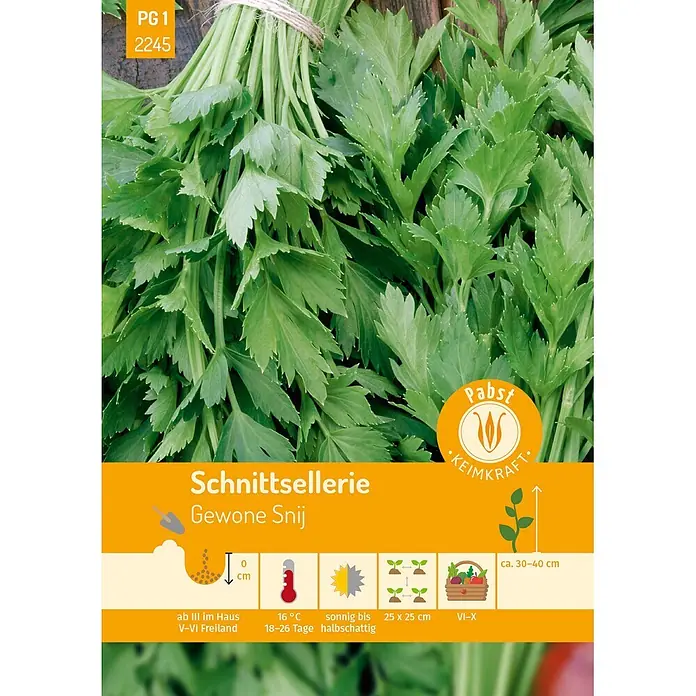 Pabst Keimkraft Schnittsellerie aromatisch & ertragreich Gewone Snij -  - Frischer grüner Schnittsellerie (Gewone Snij) mit Anbauinformationen für den Hausgarten.