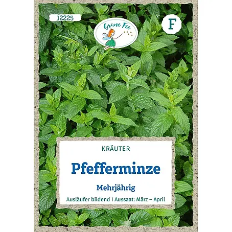 Grüne Fee  Kräutersamen Pfefferminze