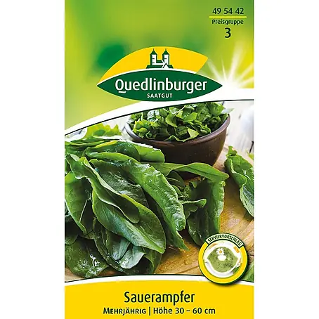 Quedlinburger SAATGUT Sauerampfer