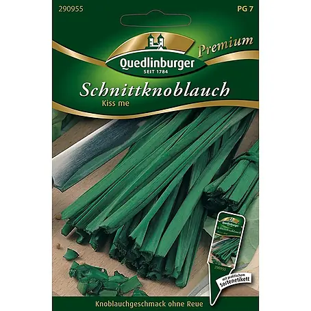 Quedlinburger SAATGUT  Kräutersamen Schnittknoblauch