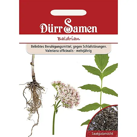 Dürr Samen  Kräutersamen Baldrian