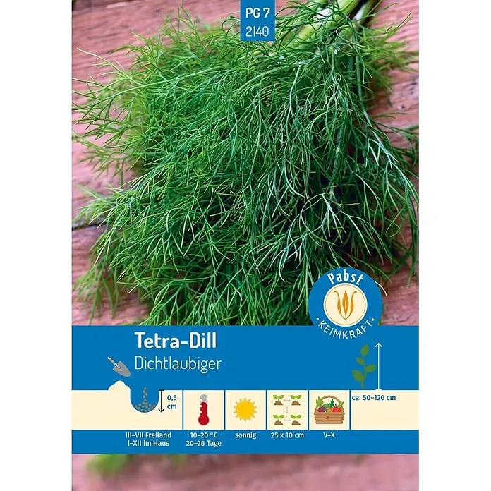Pabst Keimkraft Kräutersamen Dill - Anethum graveolens var. hortorum, Saatzeit: März, Erntezeit: Mai - Samentüte für 'Tetra-Dill' mit frischem, dichtem grünem Dill und Anbauanleitung.