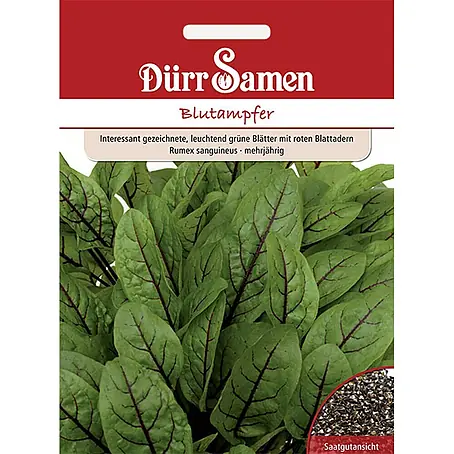 Dürr Samen  Kräutersamen Blutampfer