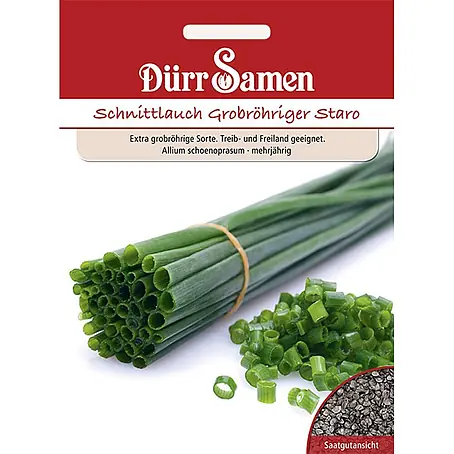 Dürr Samen Schnittlauch Staro grobröhrig