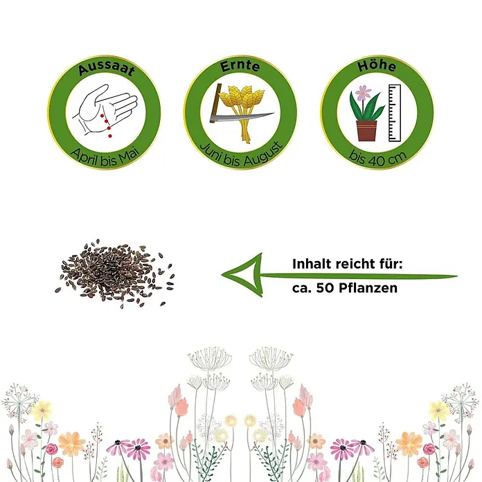 Deine Gartenwelt Estragon Mehrjährig -  - Samen mit Anweisungen für Aussaat (April-Mai), Ernte (Juni-August) und Wuchshöhe (bis 40 cm). Reicht für ca. 50 Pflanzen.