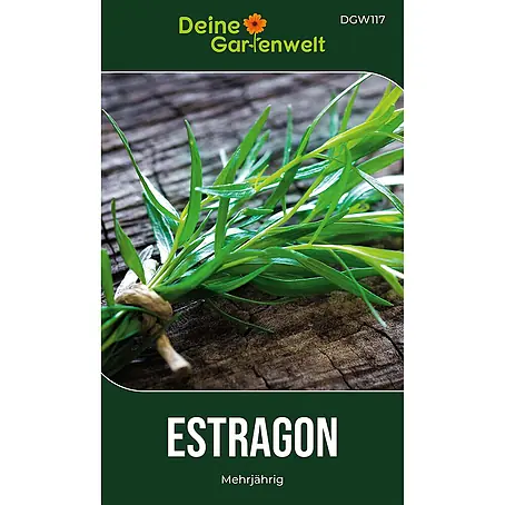 Deine Gartenwelt Estragon Mehrjährig
